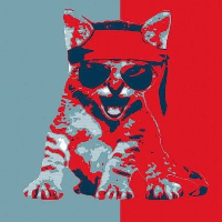 ROAR Icon