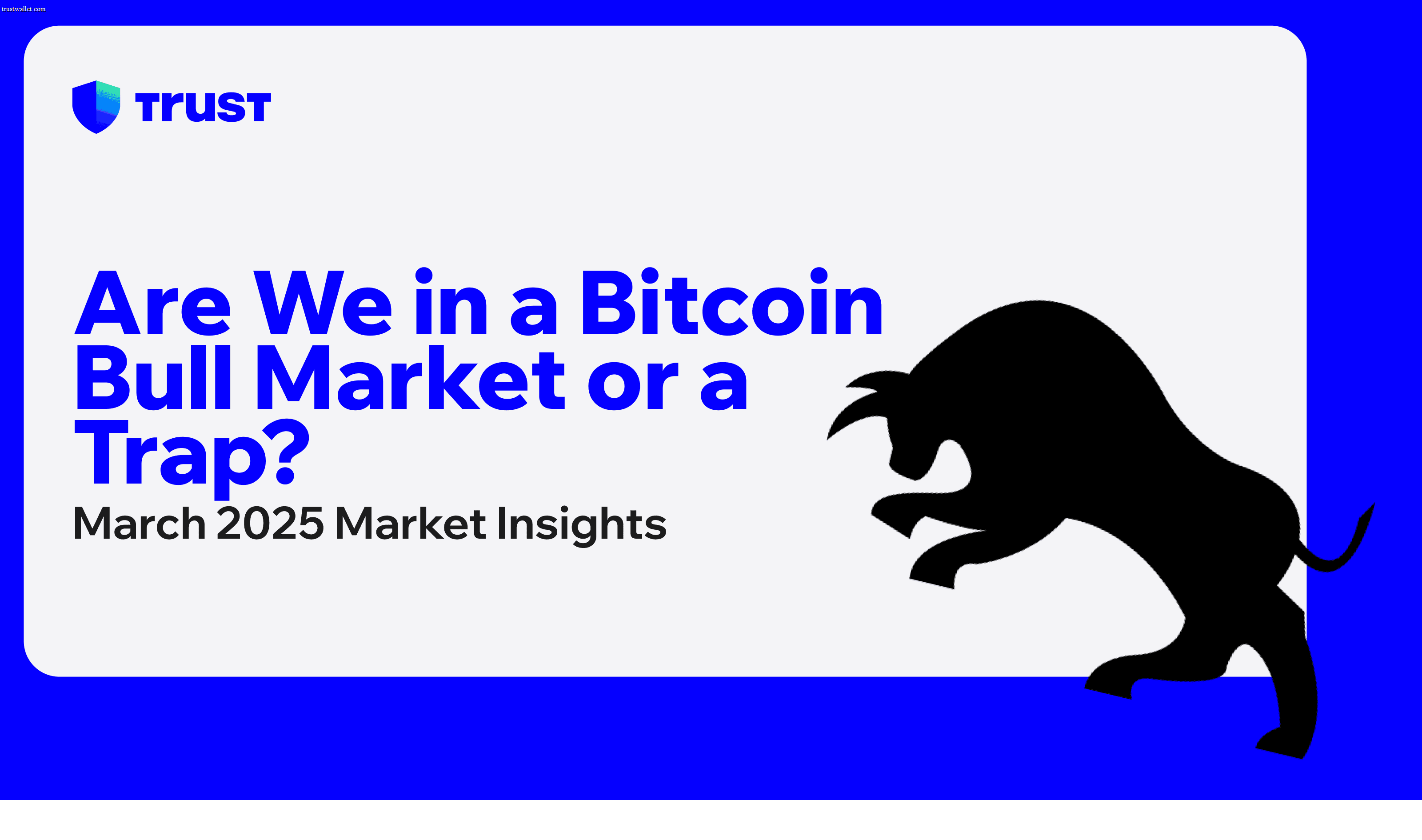 Are We in a Bitcoin Bull Market or a Trap? March 2025 Market Insights