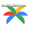 PaLM AI logo