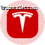 Tesla (Ondo Tokenized) logo