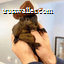 Peanut the Squirrel logo