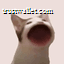 POPCAT logo