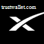 SpaceX - Backpack Securities logo