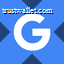 Alphabet tokenized stock (xStock) logo