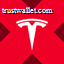Tesla tokenized stock (xStock) logo