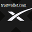 SpaceX tokenized stock (xStock) logo