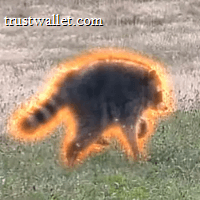 Jimothy The Raccoon logo